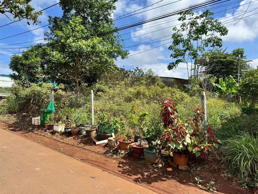 Đất siêu đẹp  giá đầu tư chính chủ cần bán nhanh đất hàng gòn  long khánh, đồng nai