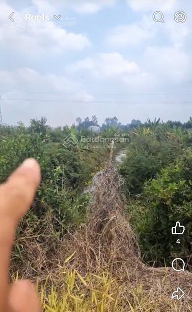 Chính chủ bán đất ruộng đã lên líp sẵn tại ấp 2 vụ (đường cái tôm) xã tân thạnh, tây ninh