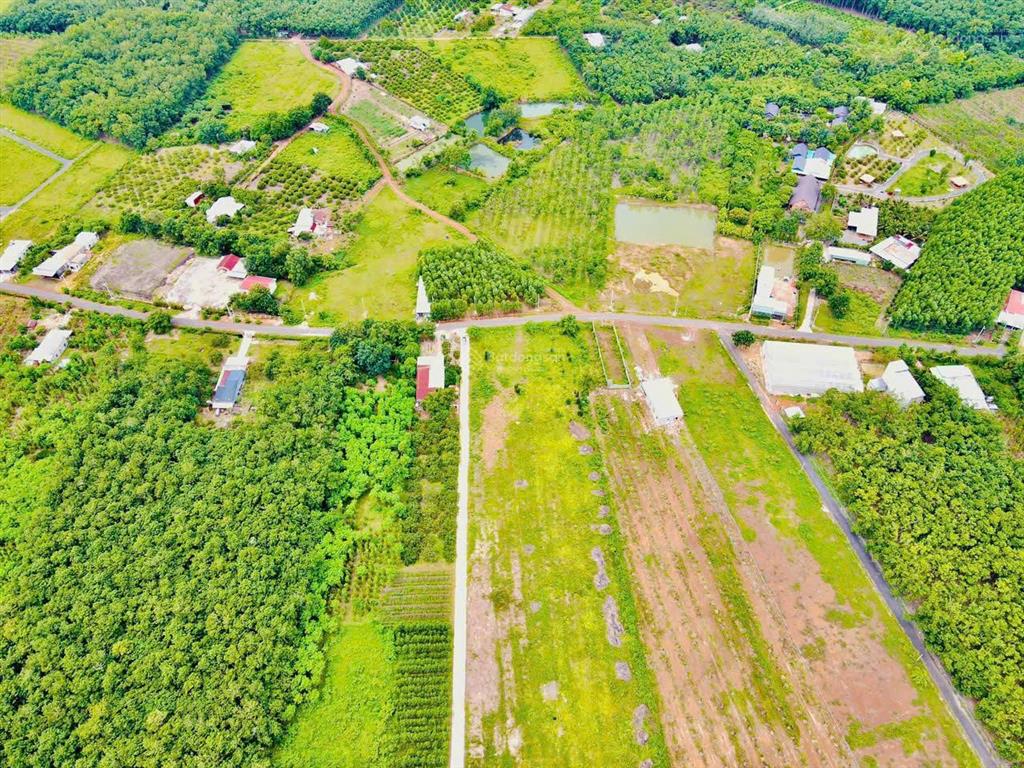 Đầu tư sinh lời, bán đất vị trí đẹp tại xã lộc khánh, huyện lộc ninh, bình phước