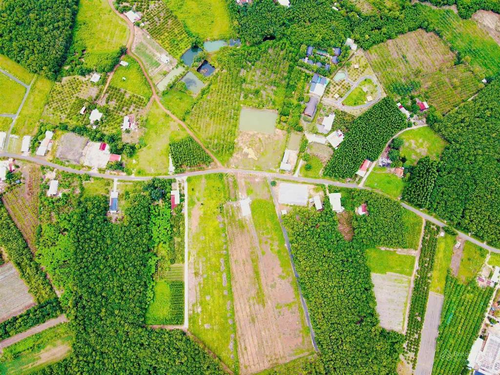 Đầu tư sinh lời, bán đất vị trí đẹp tại xã lộc khánh, huyện lộc ninh, bình phước