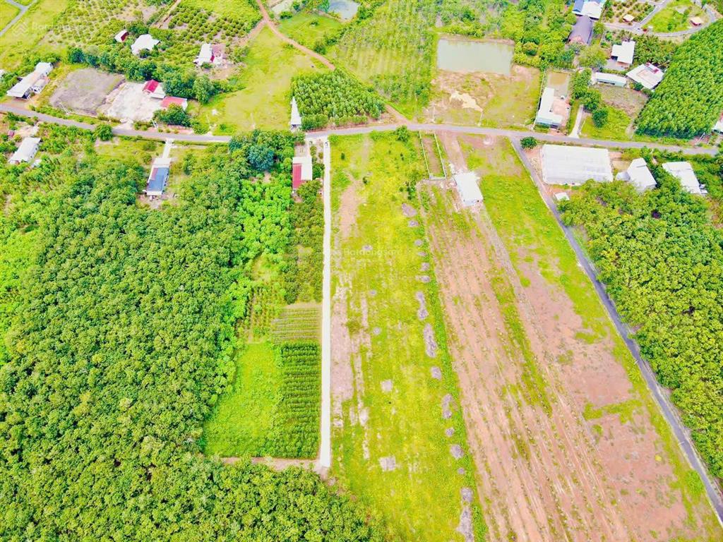 Đầu tư sinh lời, bán đất vị trí đẹp tại xã lộc khánh, huyện lộc ninh, bình phước