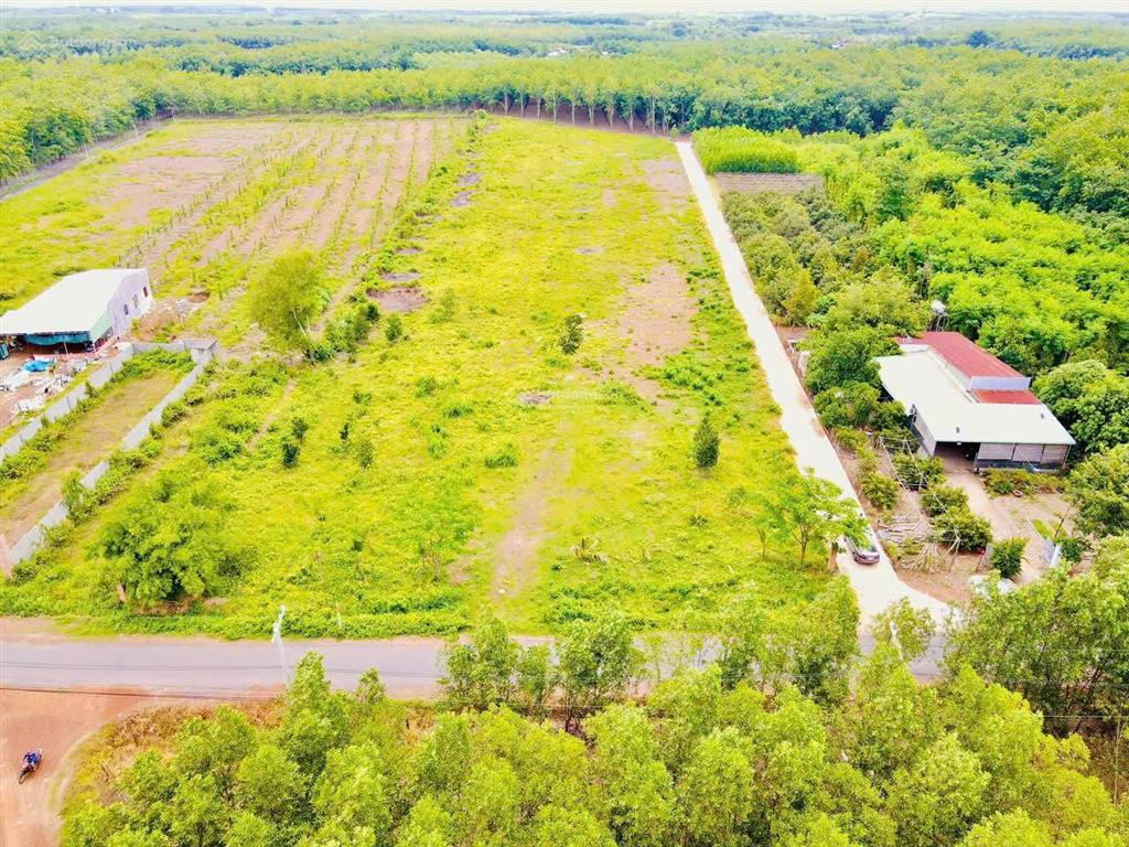 Đầu tư sinh lời, bán đất vị trí đẹp tại xã lộc khánh, huyện lộc ninh, bình phước