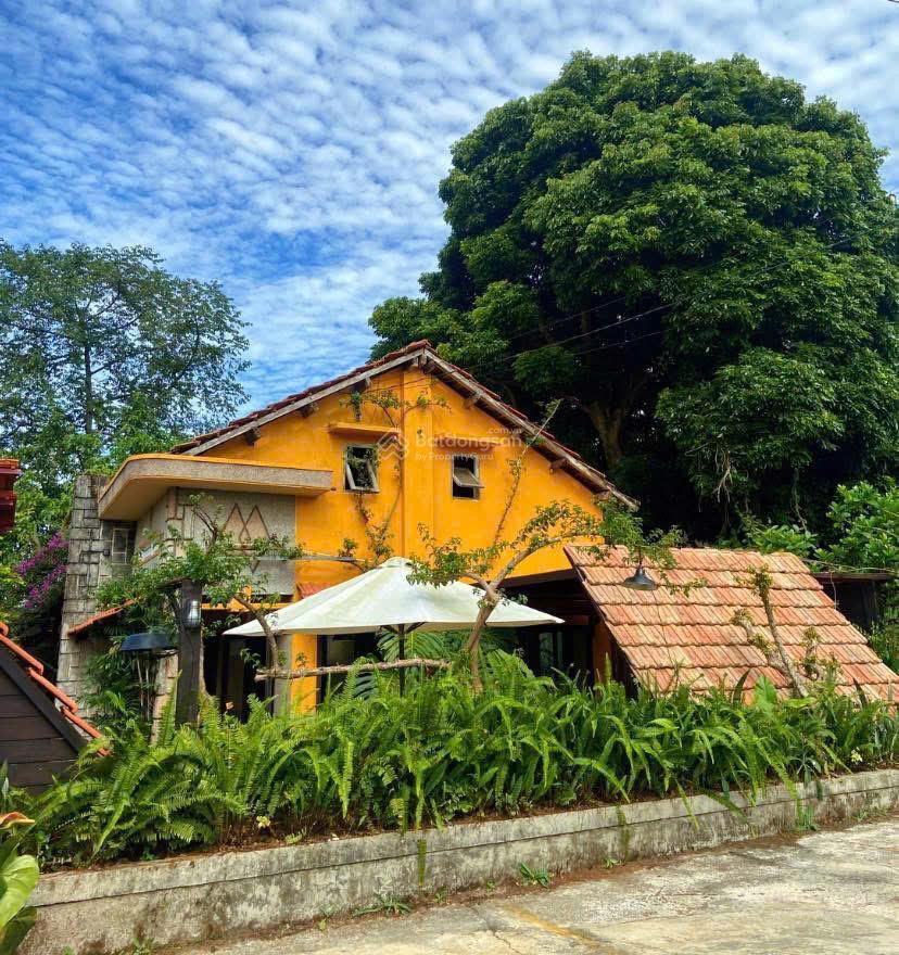 Đất đẹp  giá tốt  chính chủ cần bán nhanh lô đất phường 1, bảo lộc, lâm đồng  vị trí siêu đẹp