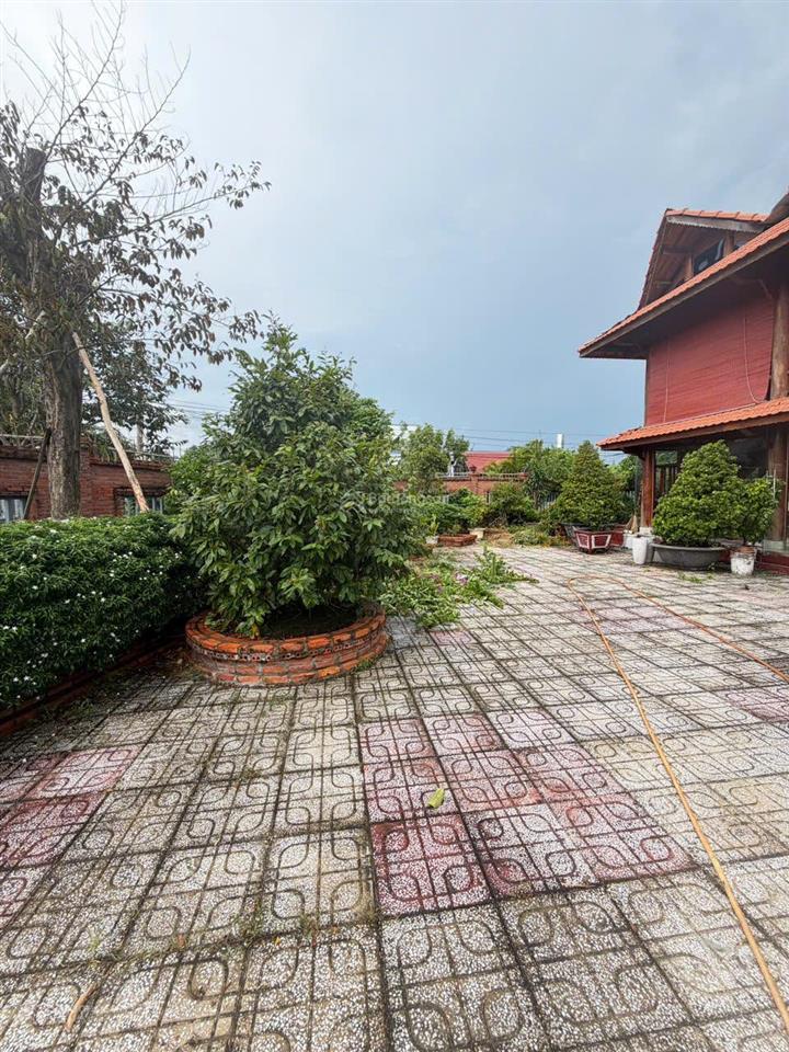 Nhà đẹp giá tốt chính chủ cần bán nhanh căn nhà gỗ xã mỹ lộc, huyện cần giuộc, long an.