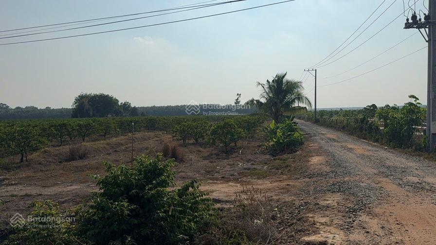Đất chính chủ  siêu đẹp 3 mặt tiền tại xã thạnh bình, tân biên, tây ninh
