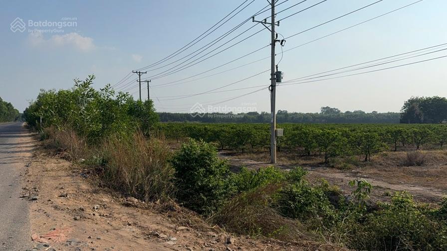 Đất chính chủ  siêu đẹp 3 mặt tiền tại xã thạnh bình, tân biên, tây ninh