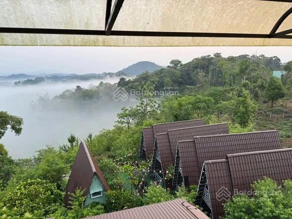 Chính chủ cần bán nhà + homestay memory tại tt măng đen, quảng ngãi (huyện kon plông, kon tum cũ)