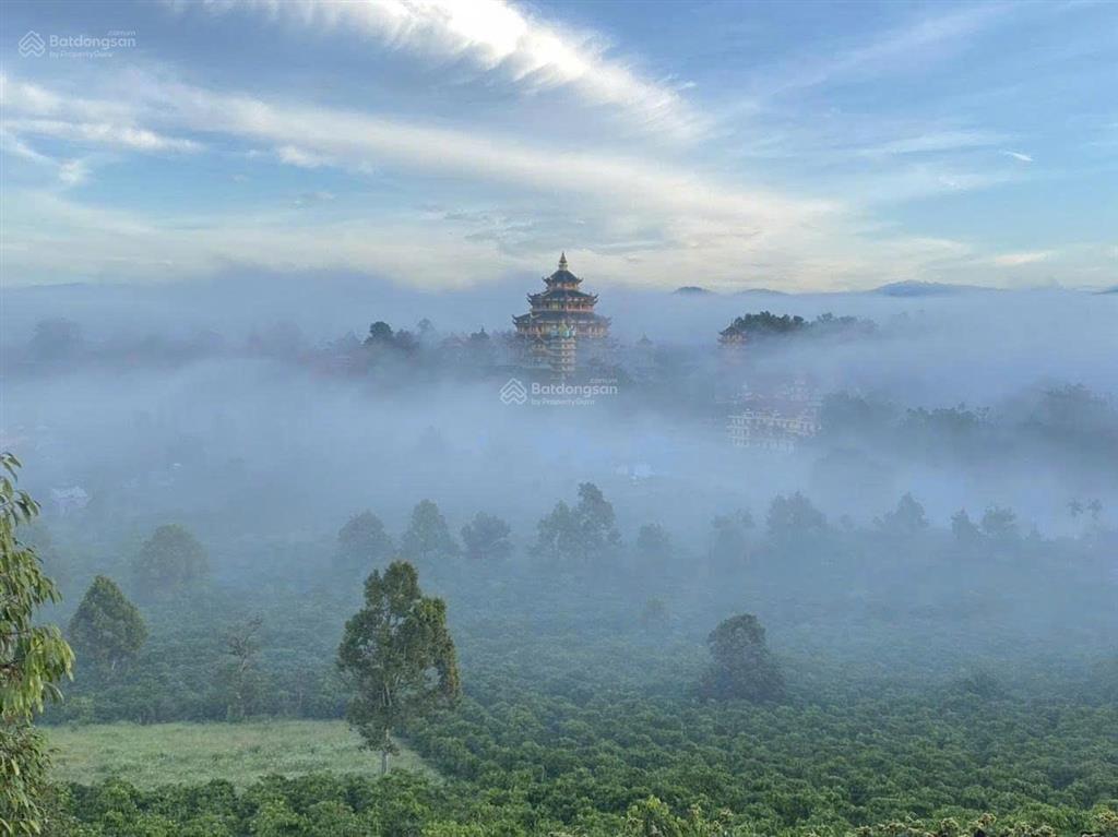 Nhà vườn siêu đẹp  nhà chính chủ tại ninh gia, 600m2, thổ cư 150m2, hai tầng lầu. giá 7,5 tỉ