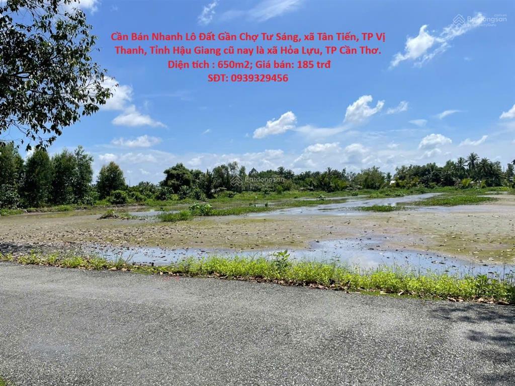Bán nhanh đất gần chợ tư sáng, xã tân tiến, tp vị thanh,hậu giang cũ nay là xã hỏa lựu, tp cần thơ.