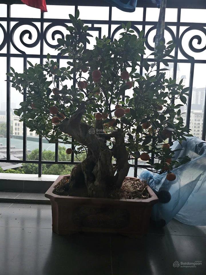 Chính chủ cần bán nhanh căn hộ the emerald (ct8) đình thôn, mỹ đình, quận nam từ liêm, hà nội