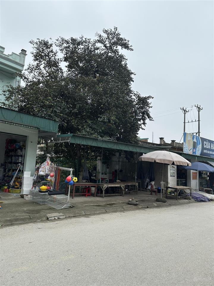 Cho thuê đất mặt chợ xóm 5 nga tân