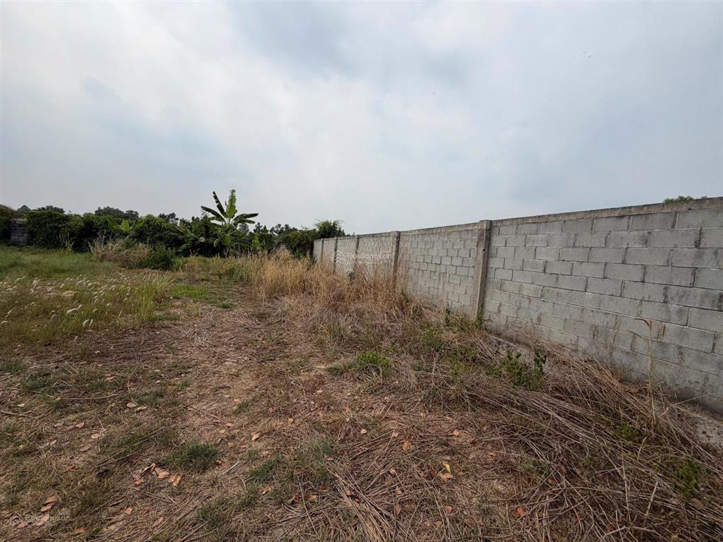 Ngộp ngân hàng bán gấp đất mt tỉnh lộ 7, củ chi