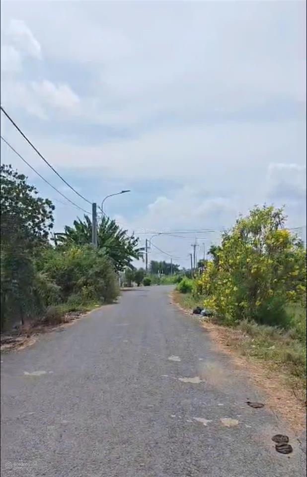 Chính chủ cần bán gấp nhà vườn mặt tiền nguyễn văn nhâm p. 5, tp tân an, long an