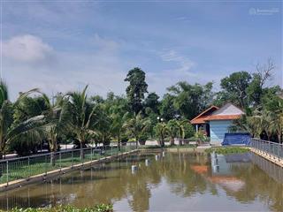 Bán gấp nhà vườn sinh thái hậu nghĩa đức hòa, long an (nay thuộc tây ninh)