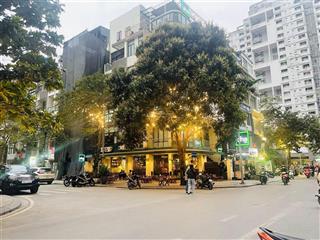 Cho thuê mbkd lô góc  nguyễn văn lộc  hà đông
