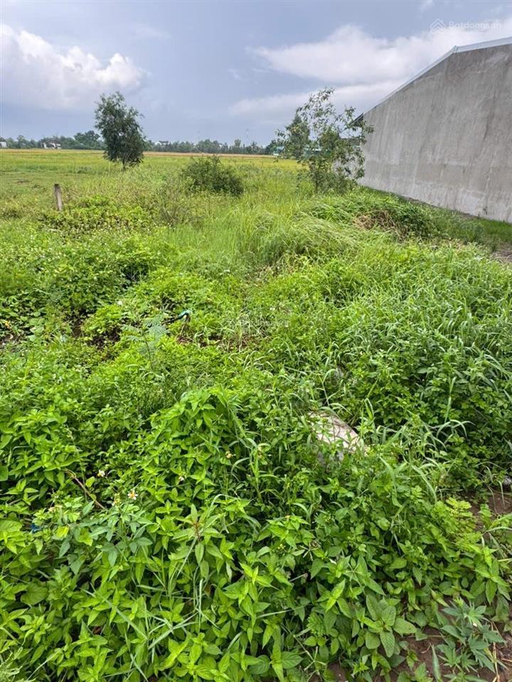 Bán đất tại xã mỹ yên, bến lức, long an, 2,6 tỷ, 200m2