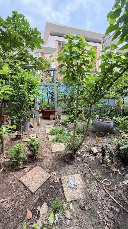 Bán Đất - hẻm nhựa 10m Lũy Bán Bích, gần Âu cơ - Bàu Cát, 10x15m, full thổ, Sổ A4, 15,2 tỷ