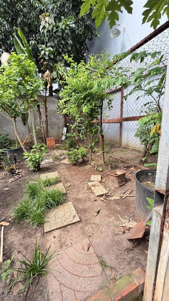 Bán Đất - hẻm nhựa 10m Lũy Bán Bích, gần Âu cơ - Bàu Cát, 10x15m, full thổ, Sổ A4, 15,2 tỷ