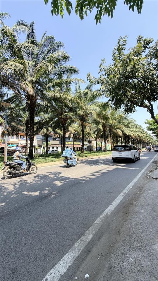 Bán nhà Mặt tiền Đường số 9A, trục Chính KDC Trung Sơn, 10x20m, 8 T- 12PN,  chào 66 tỷ.