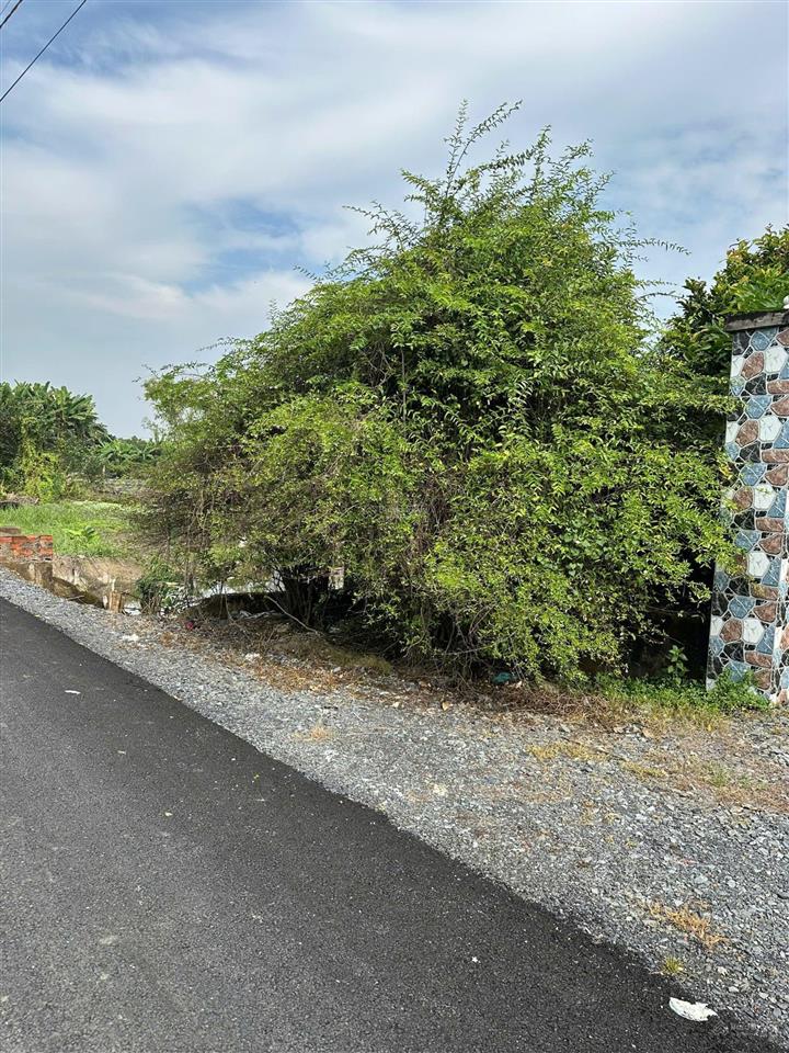 Bán lô đất vườn giá rẻ qui đức, bình chánh