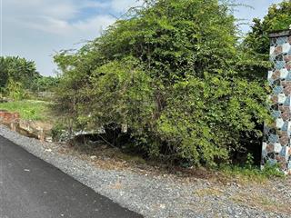 Bán lô đất vườn giá rẻ qui đức, bình chánh