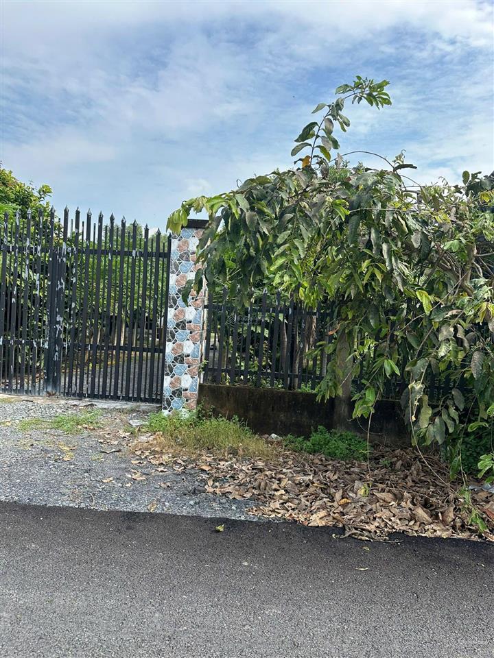 Bán lô đất vườn giá rẻ qui đức, bình chánh