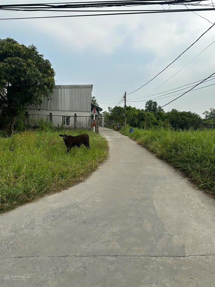 Bán lô góc 2 mặt tiền giá rẻ 173m2 thổ cư an phú tây bình chánh