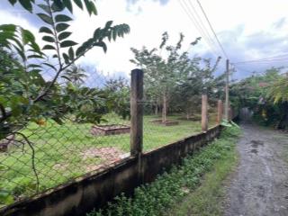 Hạ giá bán gâp 4 nền đất xã tân quý tây bình chánh thổ cư 100%