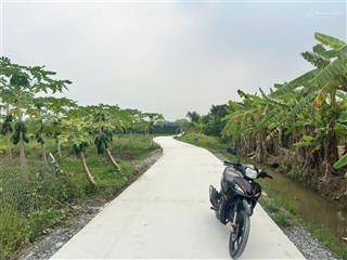 Bán lô đất giá rẻ 1/hoàng phan thái, xã bình chánh