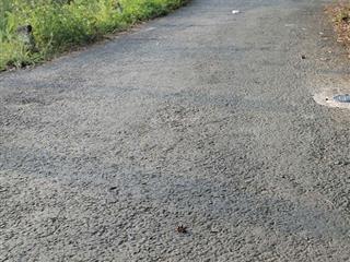 Bán lô đất giá rẻ thổ cư hưng long, bình chánh