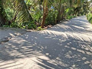 Bán lô đất vườn đầu tư 505m2 tân nhựt