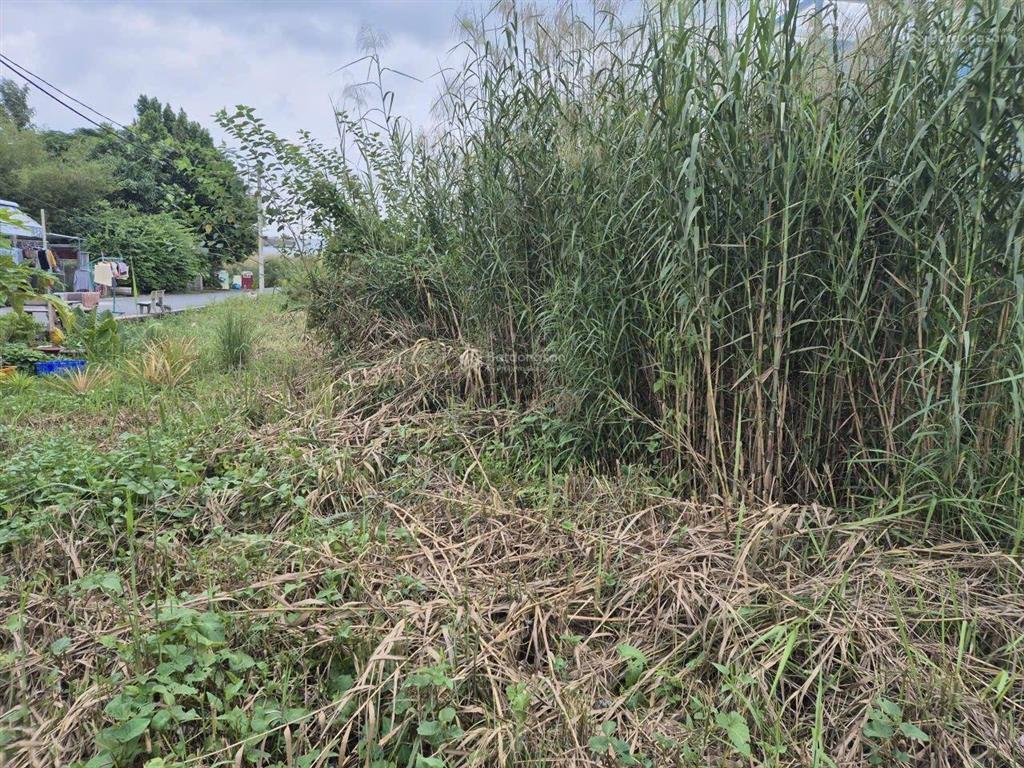 Bán lô đất 85m thổ cư xã quy đức bình chánh