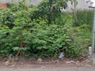 Ngộp hạ ra nhanh lô đất 200m thổ cư mặt tiền nhựa tân quý tây