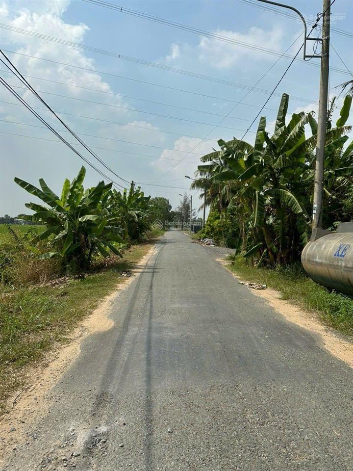 Bán lô đất mặt tiền đê số 4, tân nhựt, bình chánh