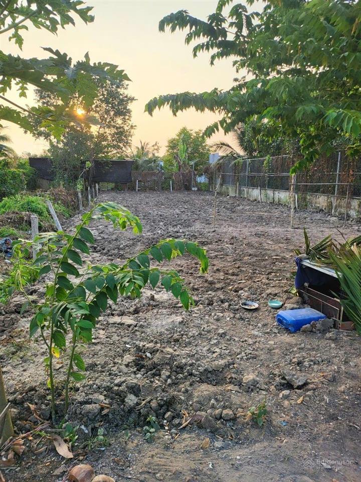 Bán lô đất giá rẻ 300m tân quý tây bình chánh