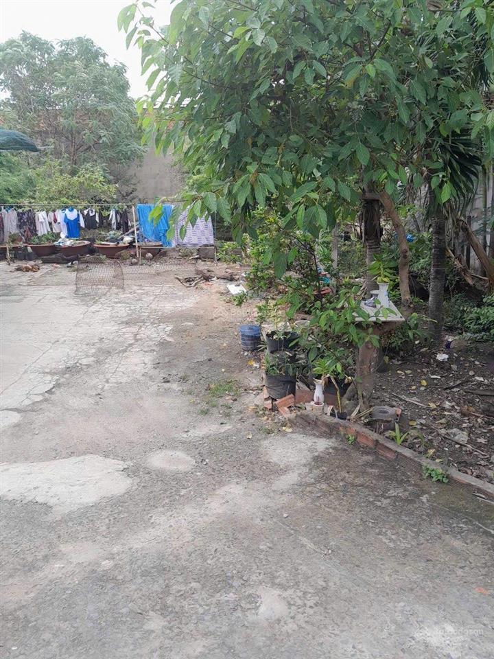 Bán lô đất ngộp 300m hưng long bình chánh