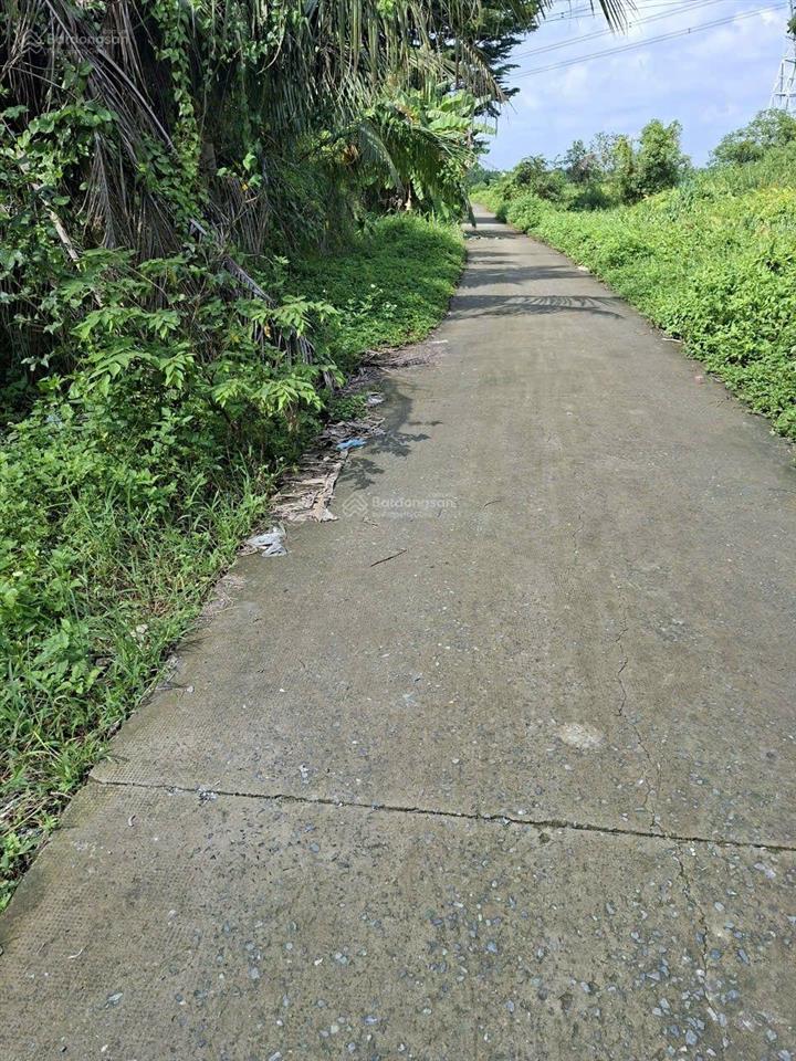 Bán đất tặng kho xưởng 1040m 1/ an hạ