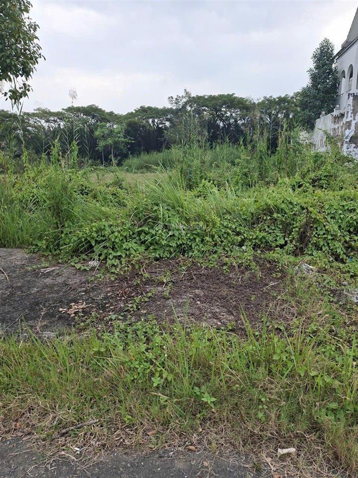 Ngộp hạ giá bán gấp lô đất biệt thự 250m2 an phú tây