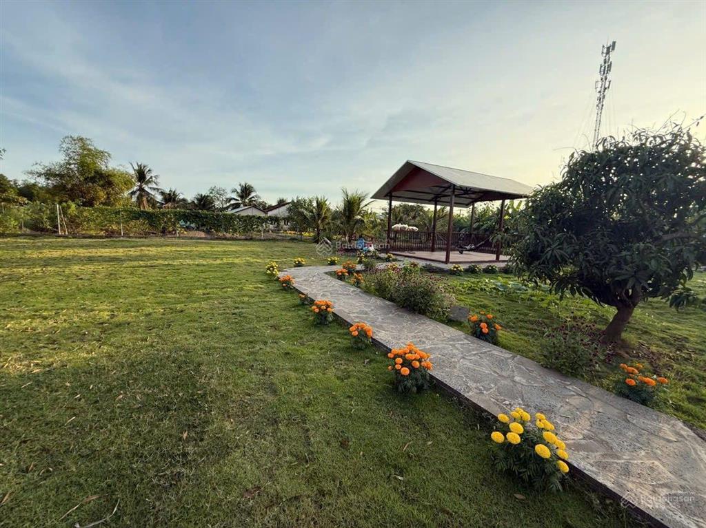 Hot! ngộp ngân hàng giảm sâu ra nhanh lô đất nhà vườn 2200m tân quý tây