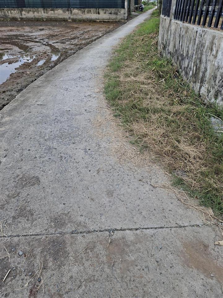 Bán lô đất vườn giá rẻ 964m2 qui đức bình chánh