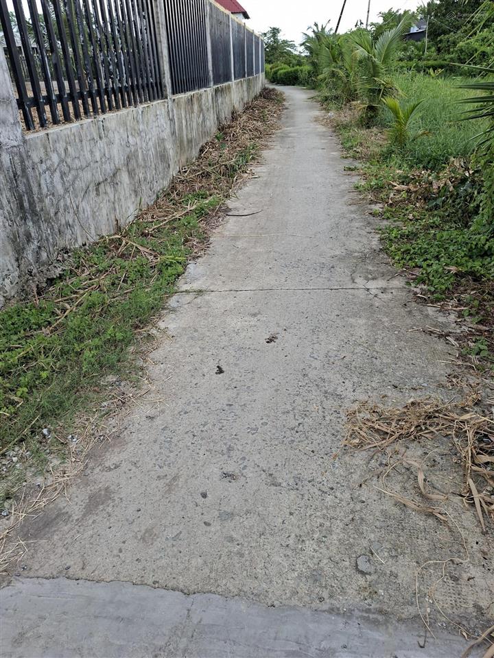 Bán lô đất vườn giá rẻ 964m2 qui đức bình chánh