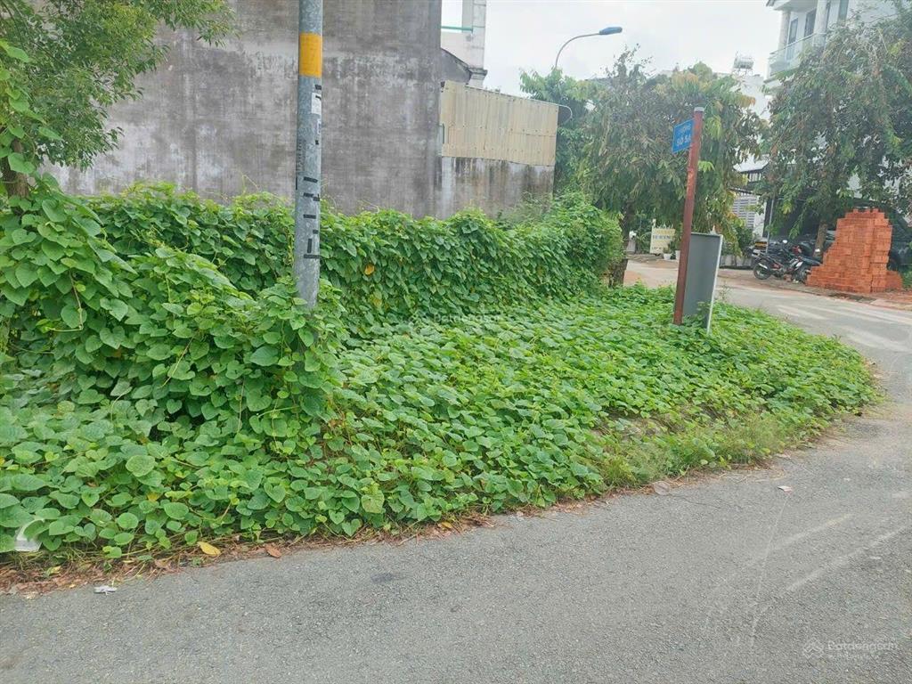 Cần tiền hạ giá bán lô góc 2 mặt tiền 195m kdc an phú tây bình chánh