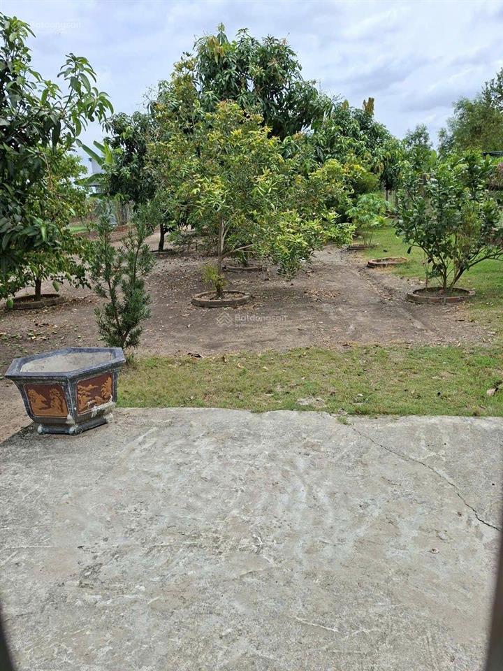 Bán lô đất nhà vườn 1000m2 đường nhựa hưng long bình chánh
