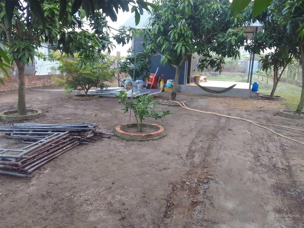 Bán lô đất nhà vườn 1000m2 đường nhựa hưng long bình chánh