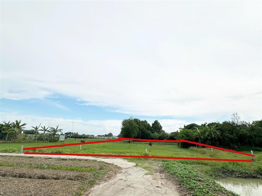 Bán lô đất vườn ngộp tân quý tây, bình chánh