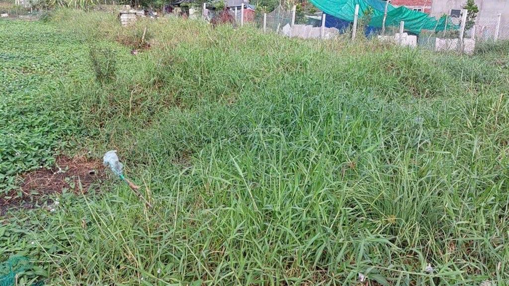 Bán miếng đất ngộp xã tân quý tây bình chánh