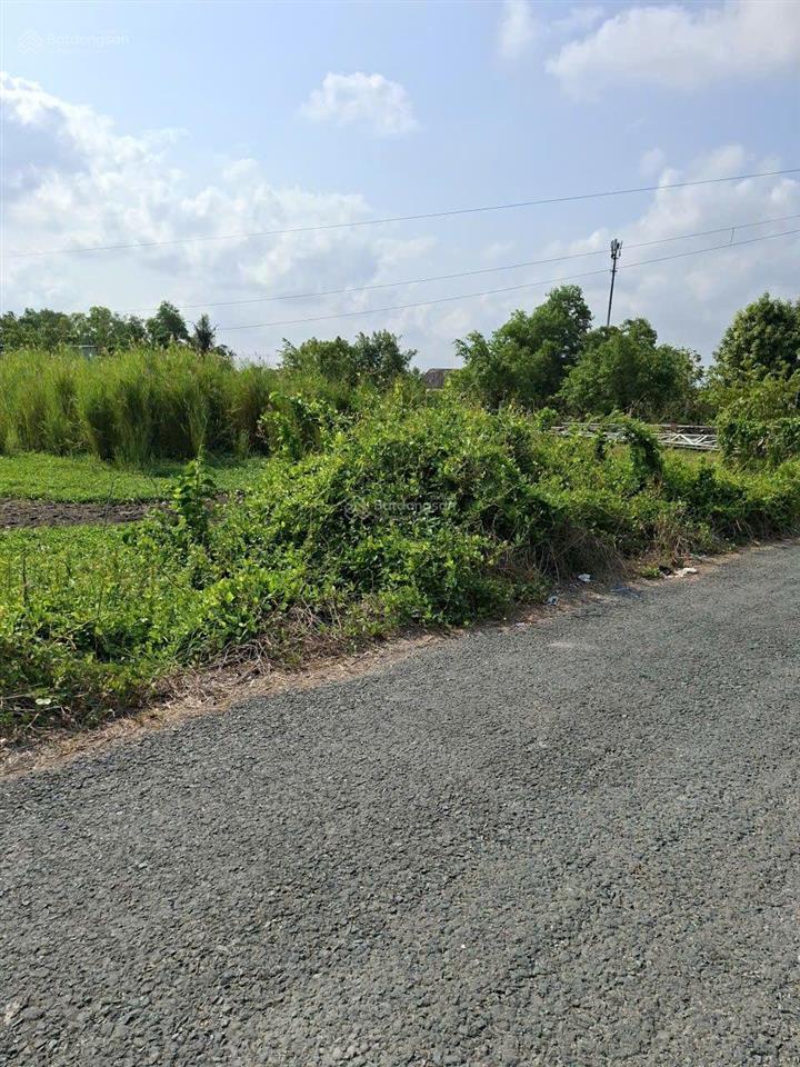 Bán lô đất ngộp mặt tiền nhựa 2000m2 tân nhựt