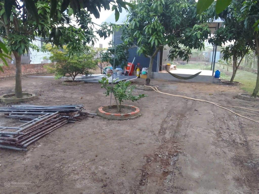 Bán căn nhà vườn 1000m hưng long, bình chánh