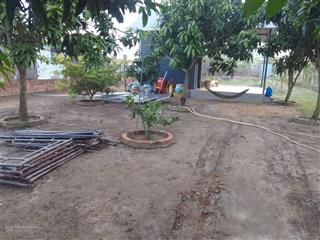 Bán căn nhà vườn 1000m hưng long, bình chánh