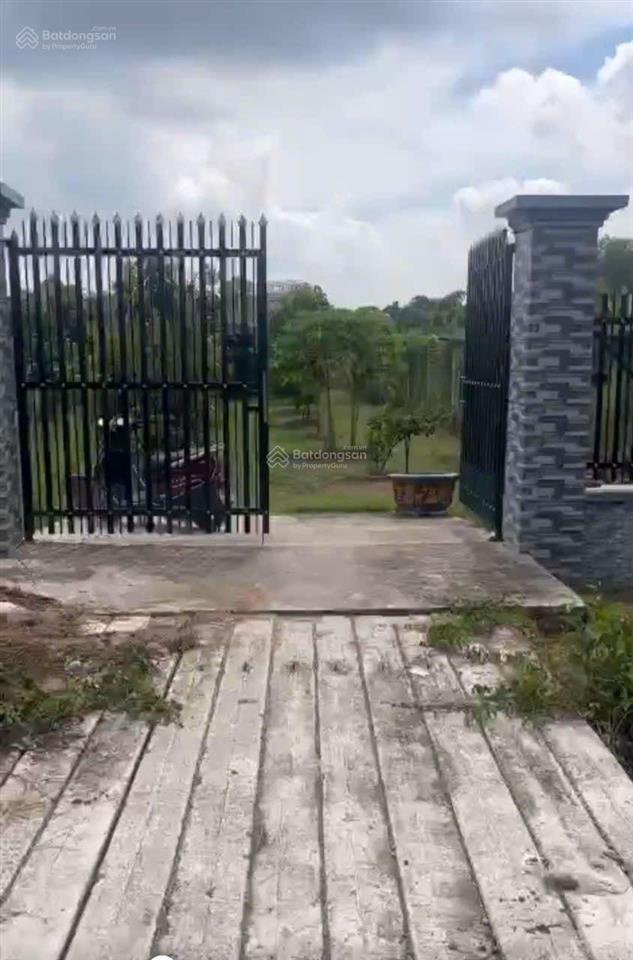 Bán căn nhà vườn 1000m hưng long, bình chánh